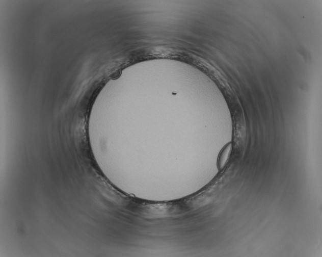 X0000112030473200908311219