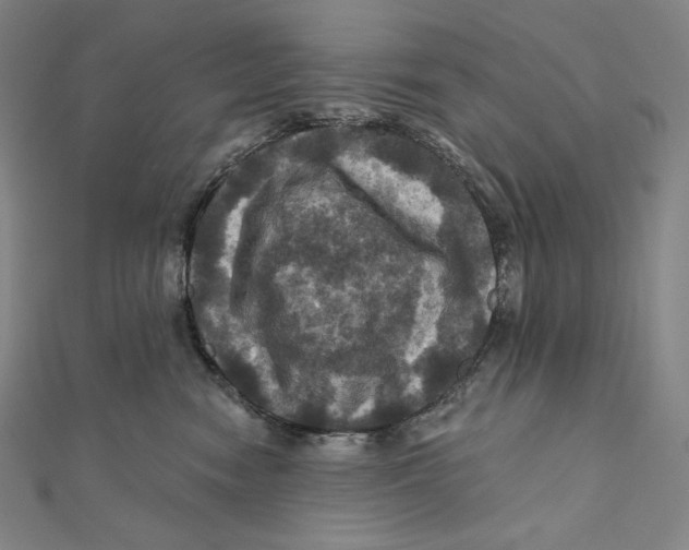 X0000112030474200908311219