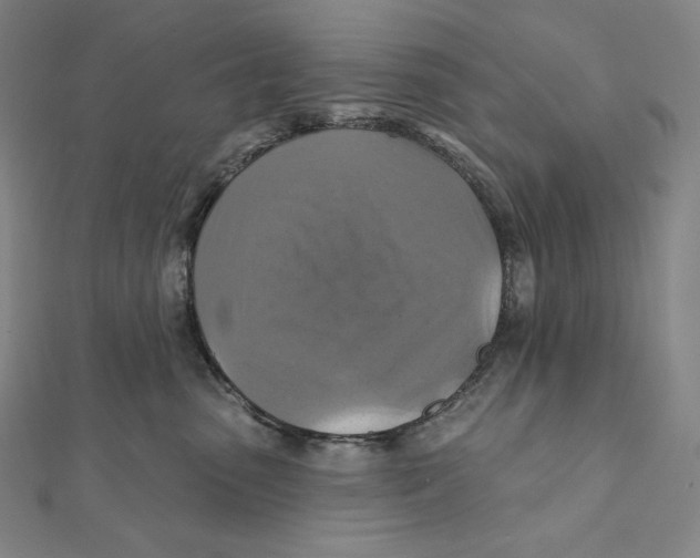 X0000112030475200908311219
