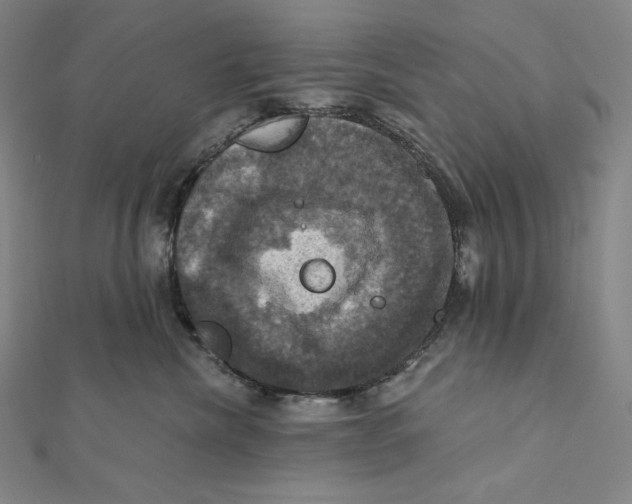 X0000112030476200908311219