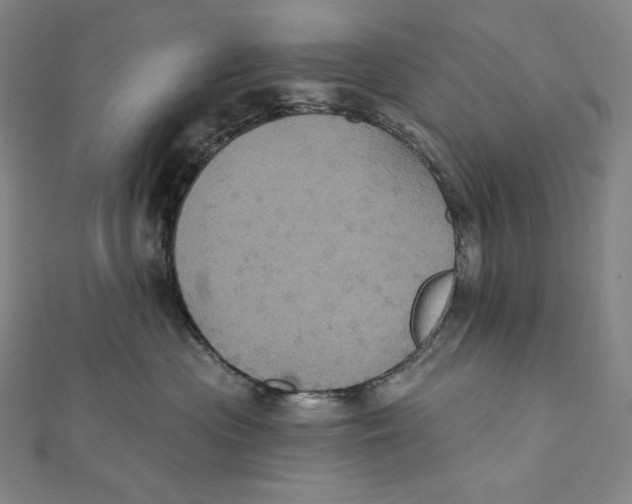 X0000112030477200908311219