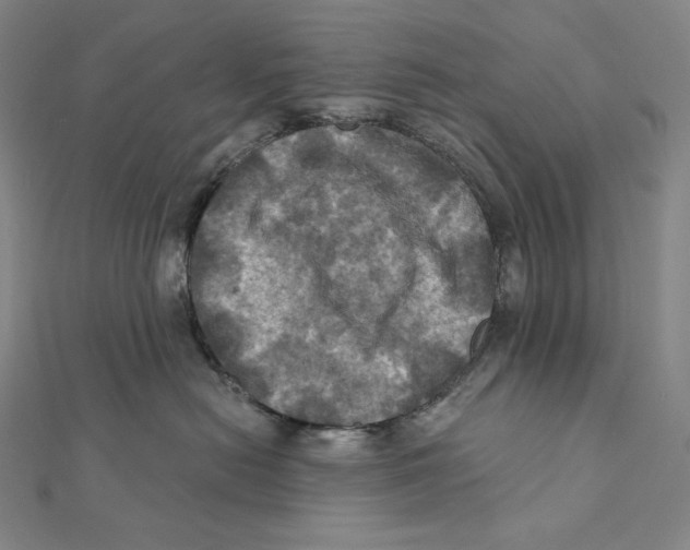 X0000112030478200908311219