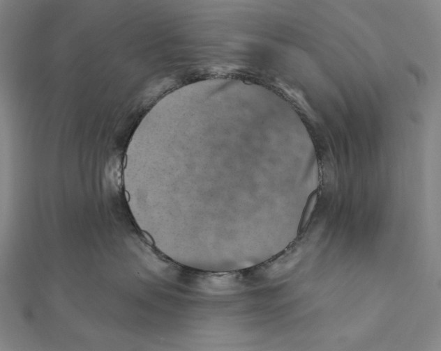 X0000112030479200908311219