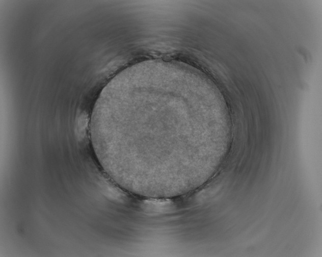 X0000112030480200908311219