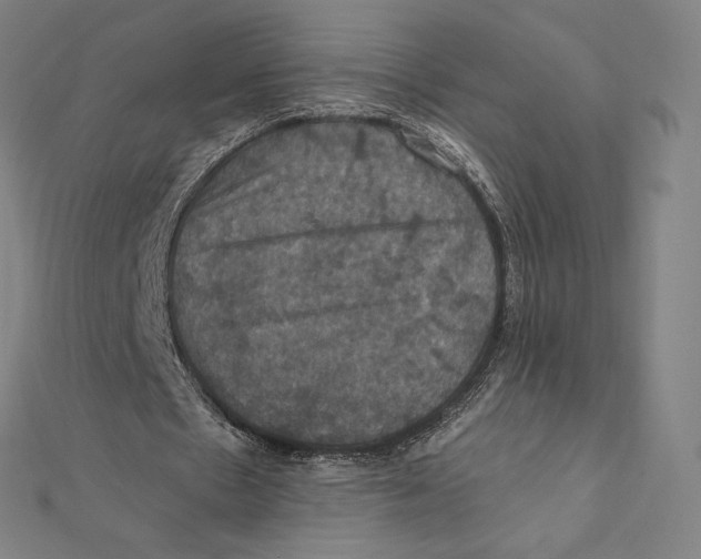 X0000112030481200908311219
