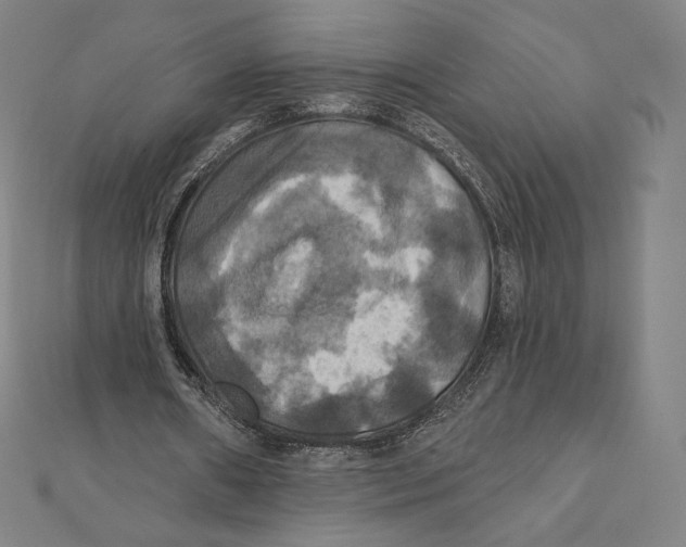 X0000112030482200908311218
