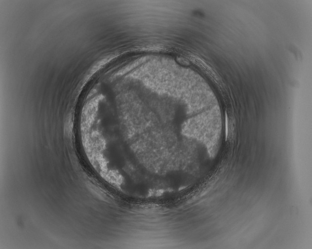 X0000112030483200908311218