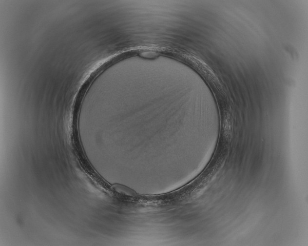X0000112030484200908311218