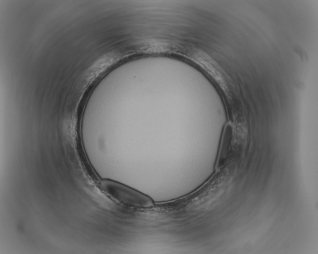 X0000112030485200908311218