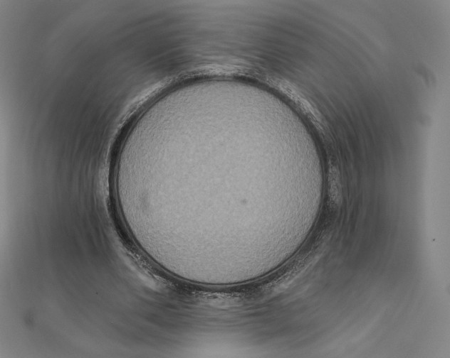 X0000112030486200908311218
