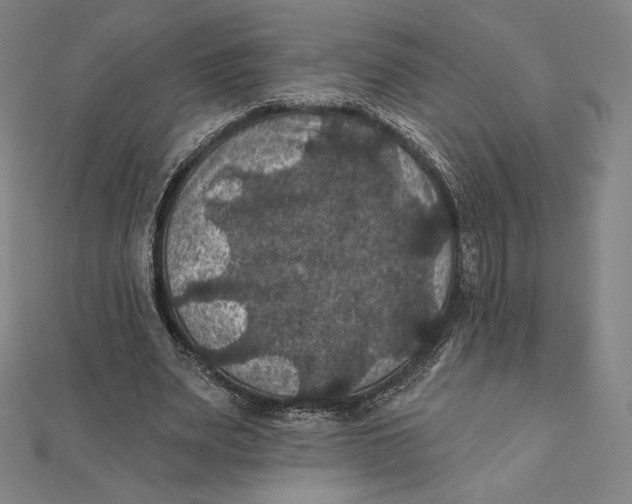 X0000112030487200908311218