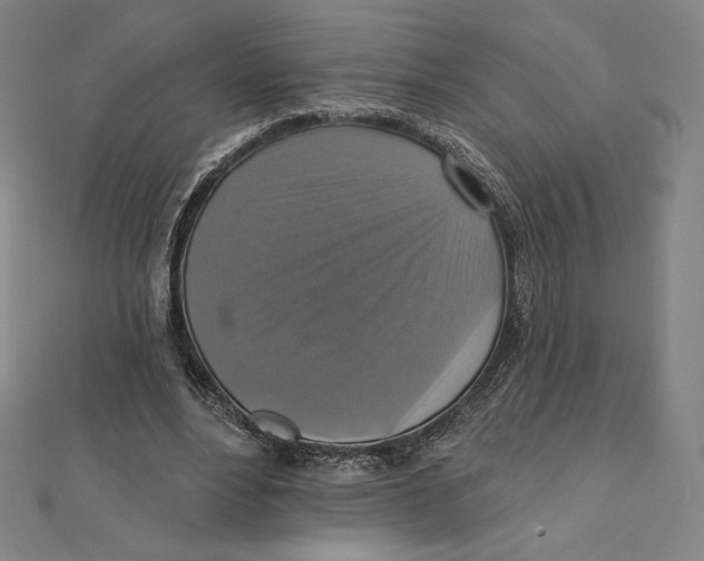 X0000112030488200908311218