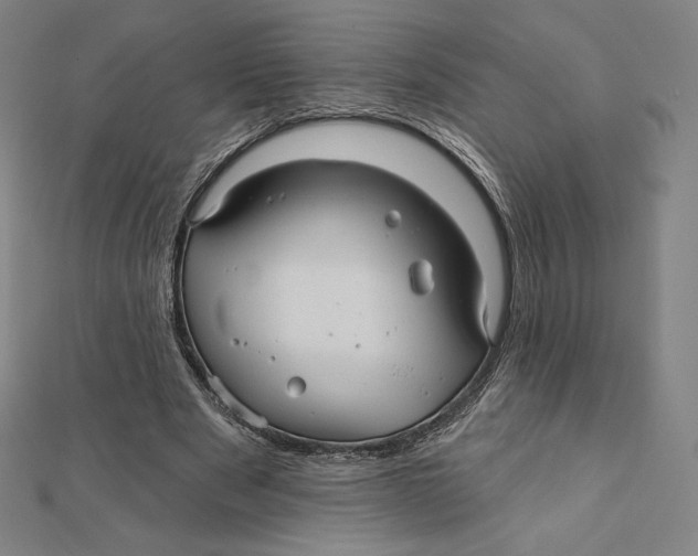 X0000112030489200908311218
