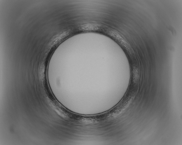 X0000112030490200908311218