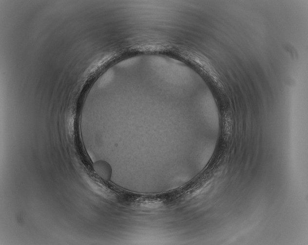 X0000112030491200908311218