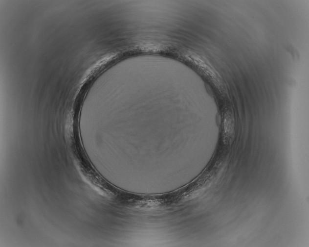 X0000112030492200908311218