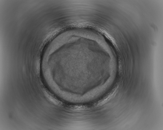 X0000112030493200908311218