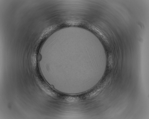 X0000112030494200908311218