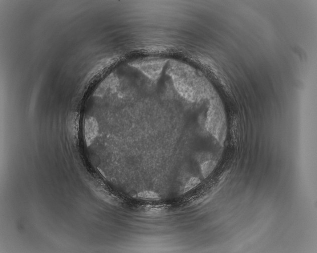 X0000112030495200908311218