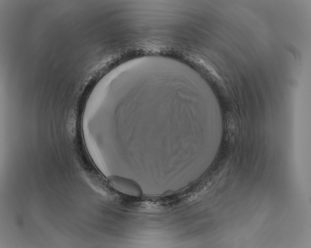 X0000112030496200908311218