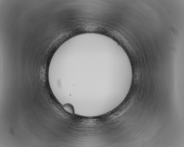 X0000112030497200908311218