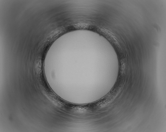 X0000112030498200908311218