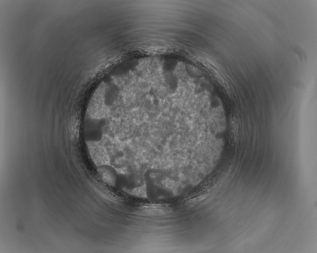 X0000112030499200908311218