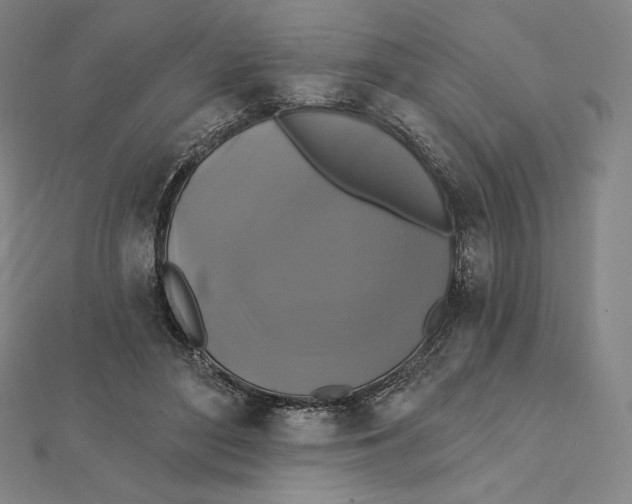X0000112030500200908311218
