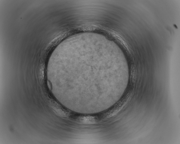 X0000112030501200908311218