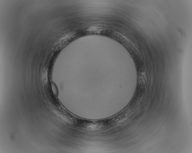 X0000112030504200908311218