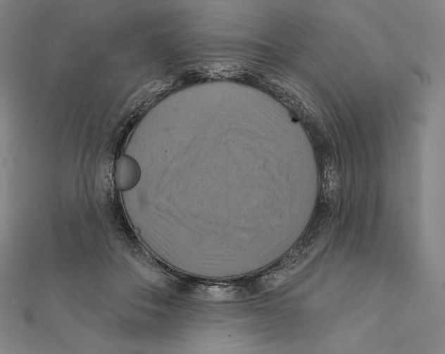 X0000112030506200908311218
