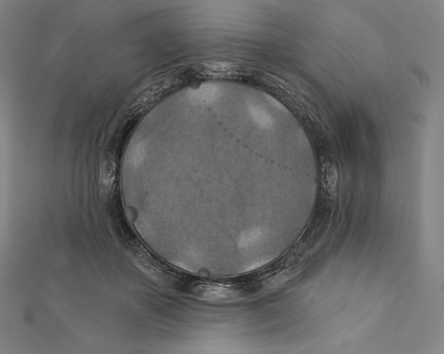 X0000112030507200908311218