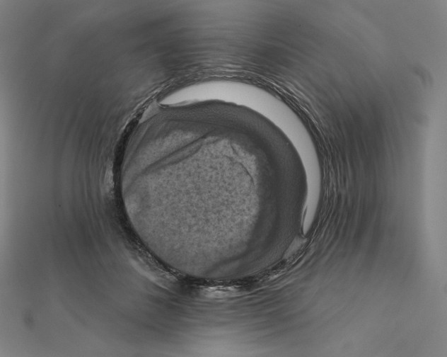 X0000112030508200908311218