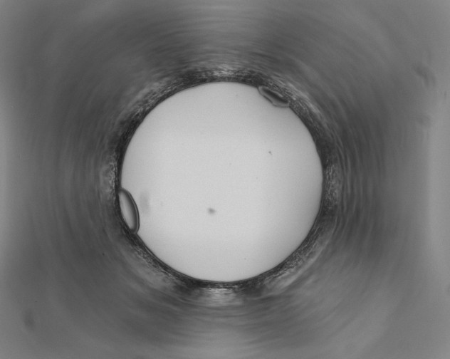 X0000112030509200908311218