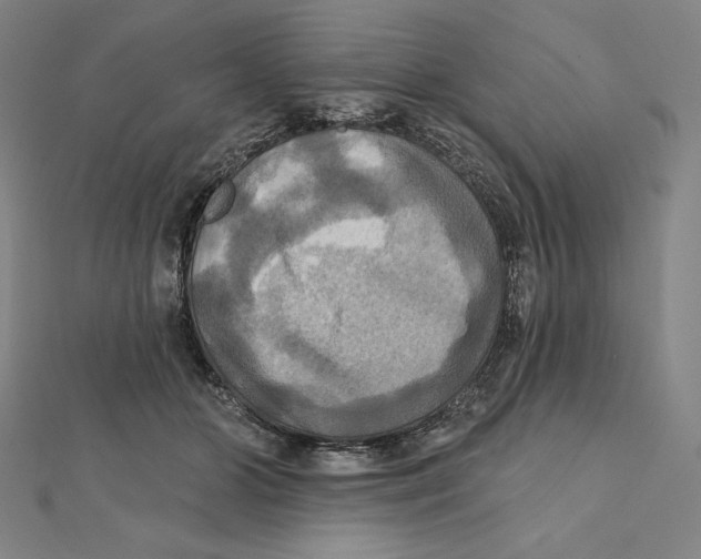 X0000112030510200908311218