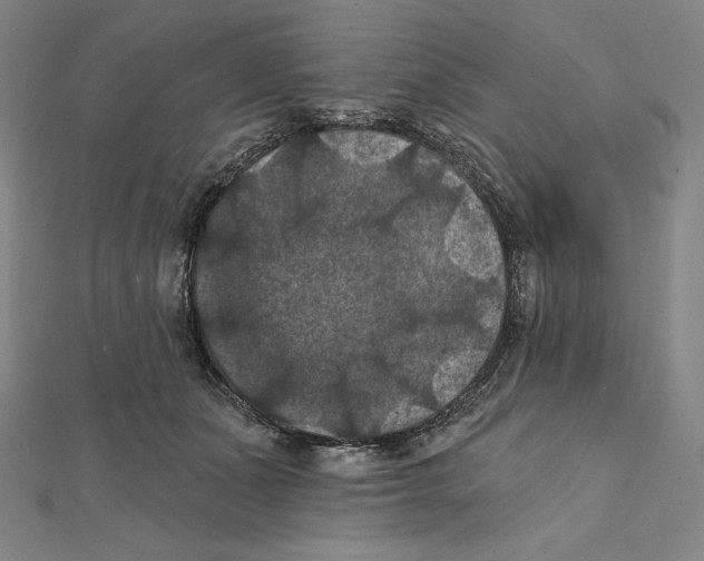 X0000112030511200908311218