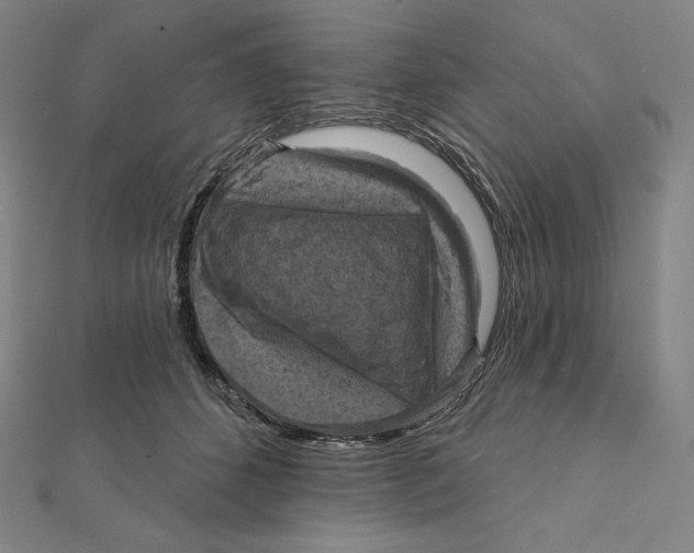X0000112030512200908311218