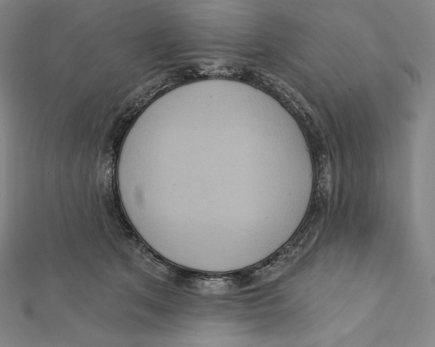X0000112030513200908311218