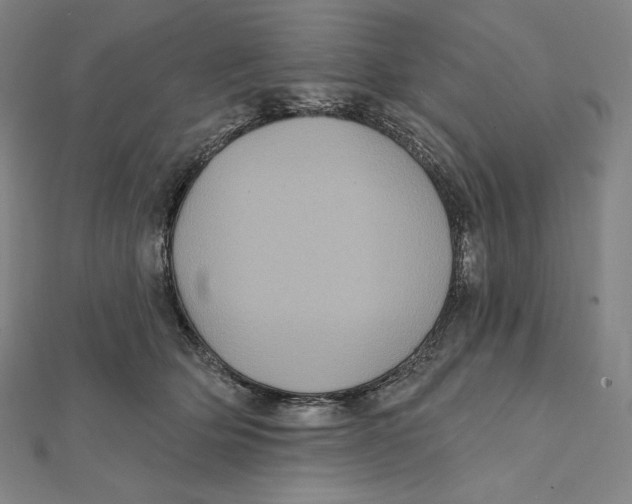X0000112030514200908311218