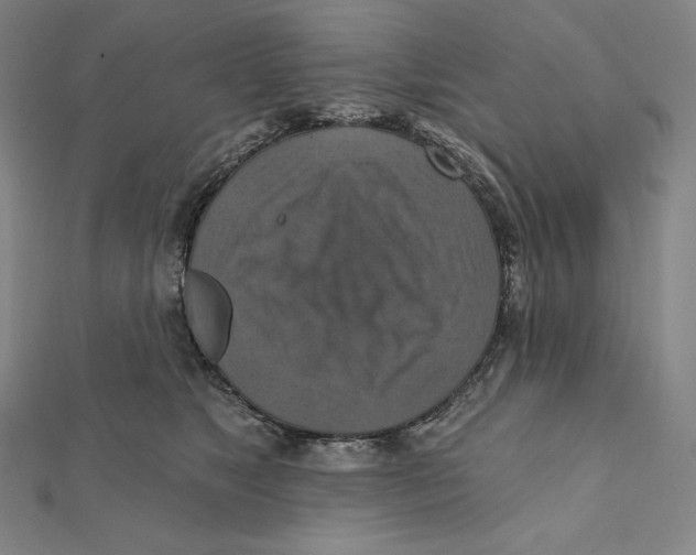 X0000112030517200908311218
