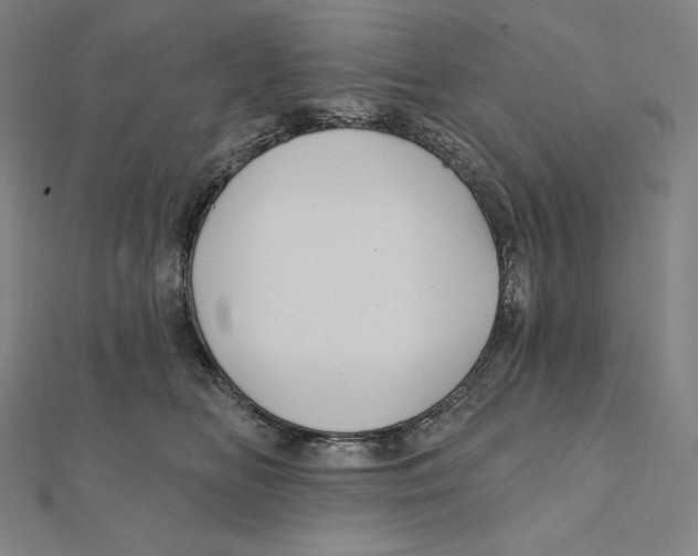 X0000112030518200908311218