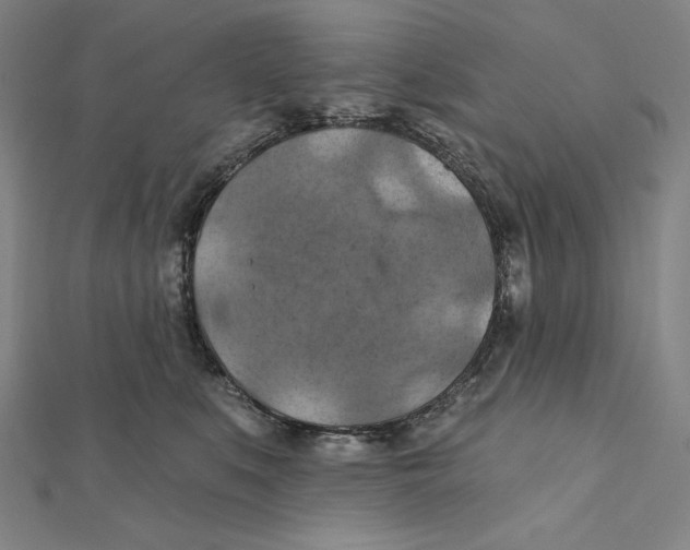X0000112030519200908311218