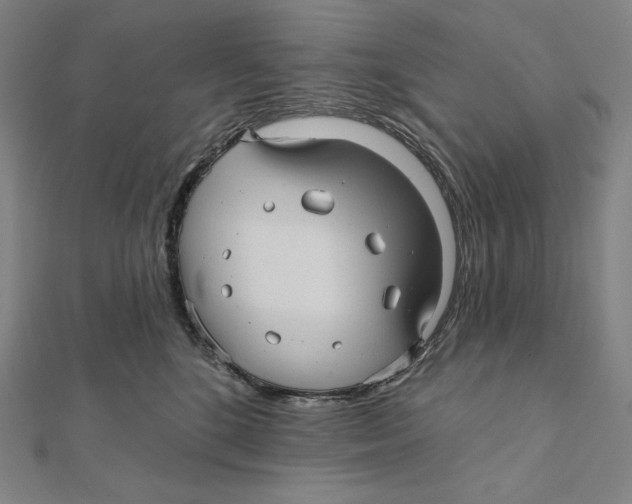 X0000112030520200908311218
