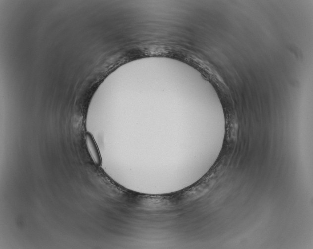X0000112030521200908311218