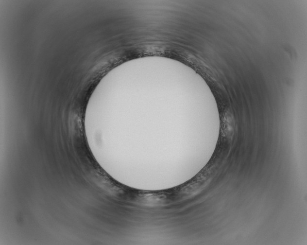 X0000112030522200908311218