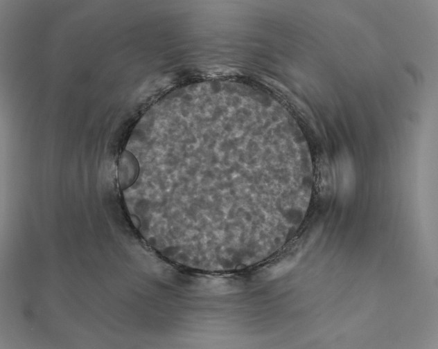 X0000112030523200908311218
