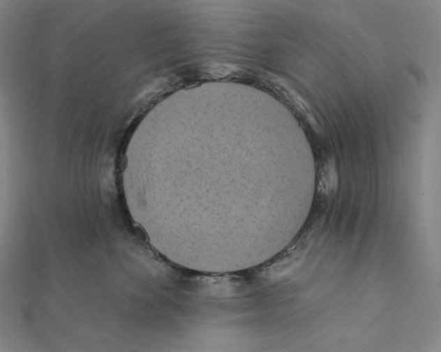 X0000112030524200908311218