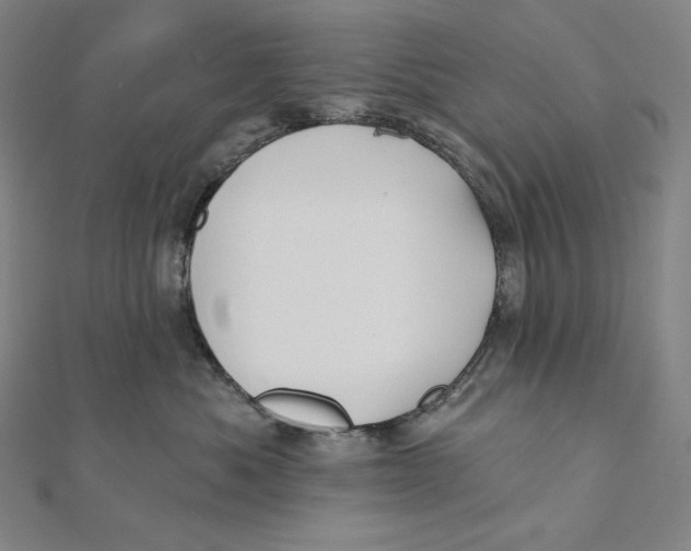 X0000112030525200908311218
