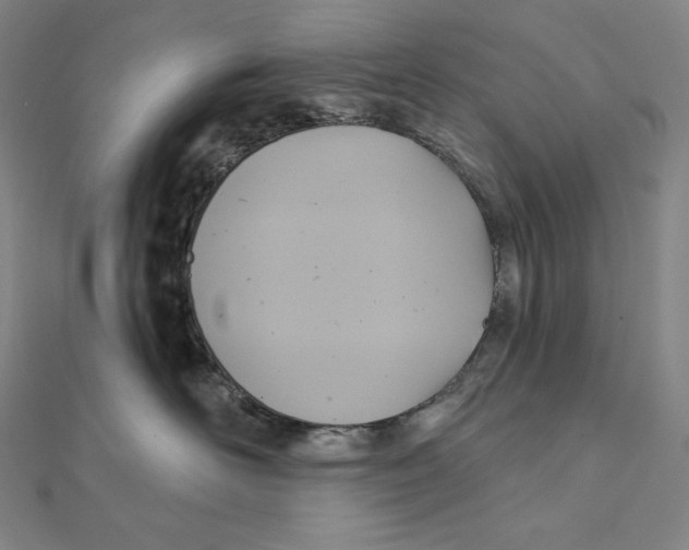 X0000112030526200908311218