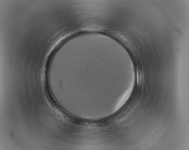 X0000112030531200908311217